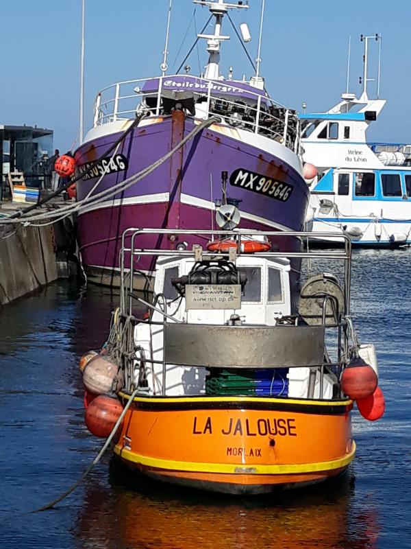 © Collection Joseph Séité : Caseyeur et vedette passagers pour l'île de Batz à l'abri dans le vieux port de Roscoff