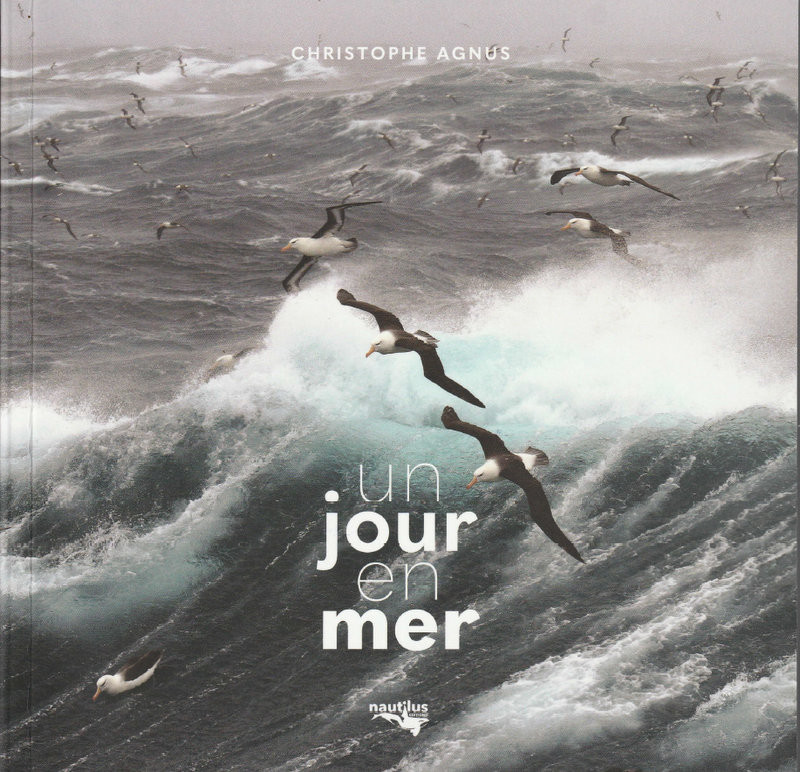 Une de couverture du livre : Un jour en mer aux Éditions Nautilus.